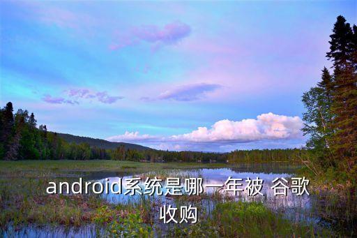 android系統(tǒng)是哪一年被 谷歌收購