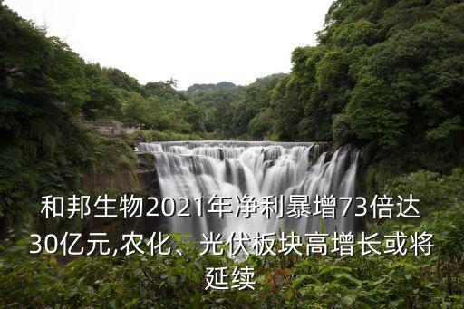 和邦生物2021年凈利暴增73倍達(dá)30億元,農(nóng)化、光伏板塊高增長或?qū)⒀永m(xù)