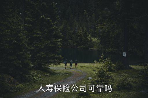  人壽保險(xiǎn)公司可靠嗎