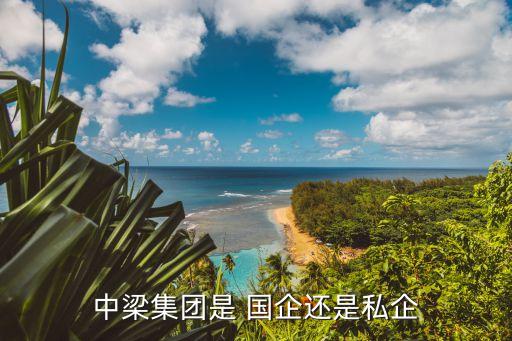 上海國企的房地產(chǎn)公司,排名前50的國企央企房地產(chǎn)公司