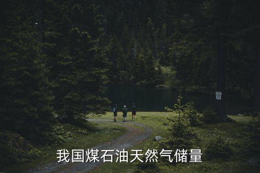 我國(guó)煤石油天然氣儲(chǔ)量