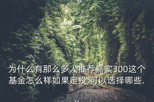 為什么有那么多人推薦嘉實(shí)300這個(gè)基金怎么樣如果定投,可以選擇哪些...