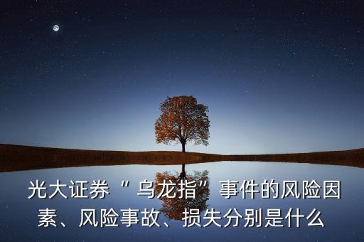  光大證券“ 烏龍指”事件的風(fēng)險(xiǎn)因素、風(fēng)險(xiǎn)事故、損失分別是什么