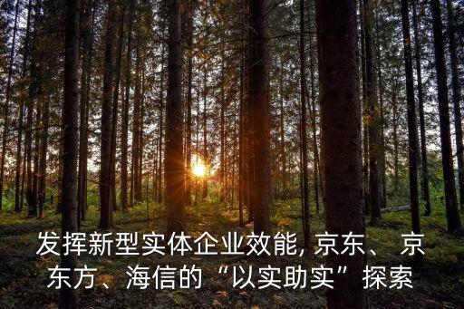 發(fā)揮新型實體企業(yè)效能, 京東、 京東方、海信的“以實助實”探索