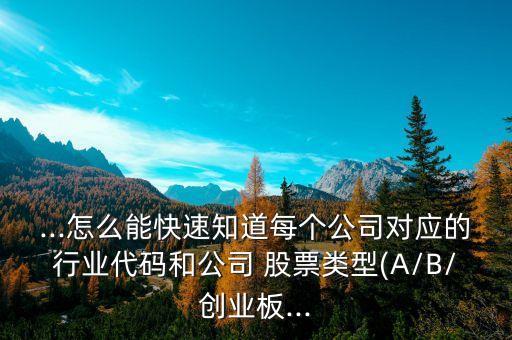 ...怎么能快速知道每個公司對應的行業(yè)代碼和公司 股票類型(A/B/創(chuàng)業(yè)板...