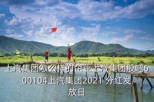 上汽集團怎么樣的企業(yè)上汽集團股吧600104上汽集團2021 分紅發(fā)放日