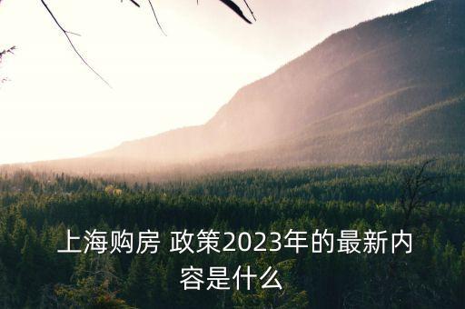  上海購房 政策2023年的最新內(nèi)容是什么