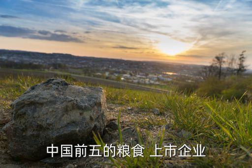 中糧集團(tuán)有哪些上市公司