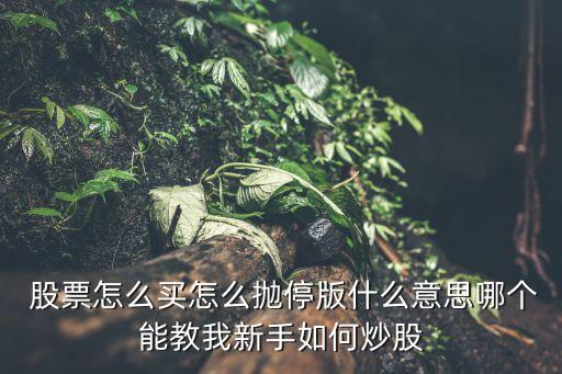  股票怎么買怎么拋停版什么意思哪個(gè)能教我新手如何炒股