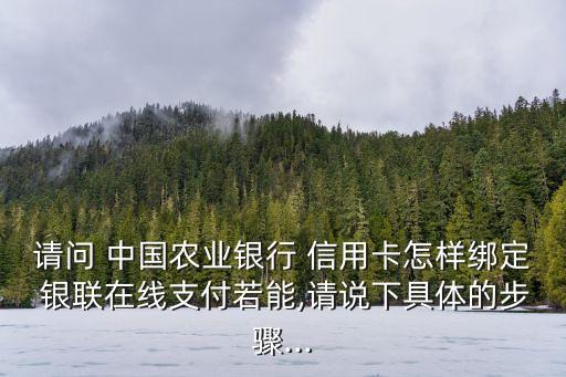 請(qǐng)問 中國農(nóng)業(yè)銀行 信用卡怎樣綁定 銀聯(lián)在線支付若能,請(qǐng)說下具體的步驟...