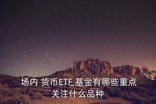  場(chǎng)內(nèi) 貨幣ETF 基金有哪些重點(diǎn)關(guān)注什么品種