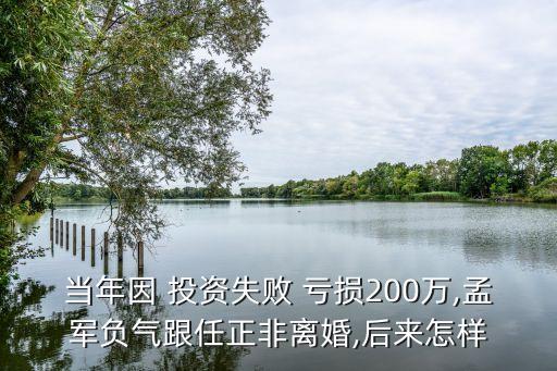 中國投資虧損,投資失敗虧損200萬