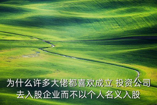 為什么許多大佬都喜歡成立 投資公司去入股企業(yè)而不以個(gè)人名義入股