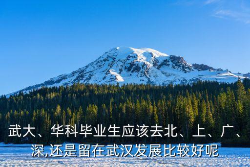 武大、華科畢業(yè)生應(yīng)該去北、上、廣、深,還是留在武漢發(fā)展比較好呢