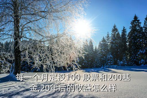 每一個月定投100 股票和200基金,20年后的收益怎么樣