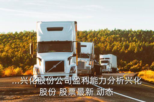 ...興化股份公司盈利能力分析興化股份 股票最新 動(dòng)態(tài)