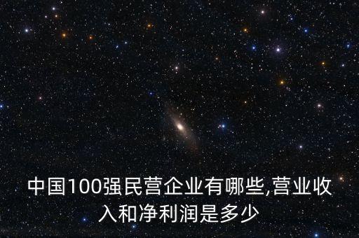 中國100強(qiáng)民營企業(yè)有哪些,營業(yè)收入和凈利潤是多少