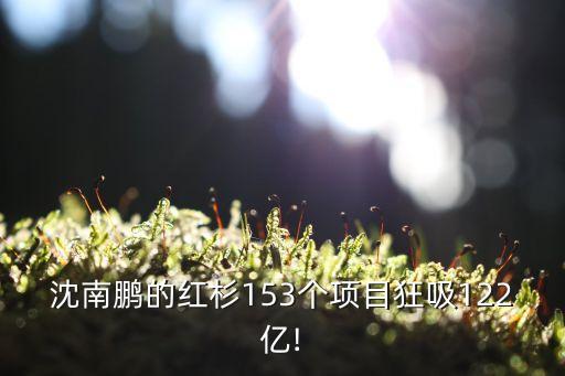 沈南鵬的紅杉153個(gè)項(xiàng)目狂吸122億!