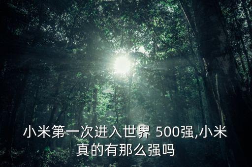 小米第一次進入世界 500強,小米真的有那么強嗎