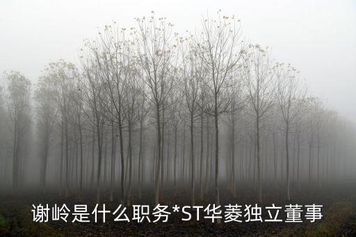 謝嶺是什么職務(wù)*ST華菱獨(dú)立董事