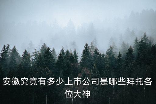 蕪湖港儲運(yùn)股份有限公司網(wǎng)站