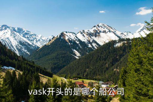 vask開頭的是哪個船公司