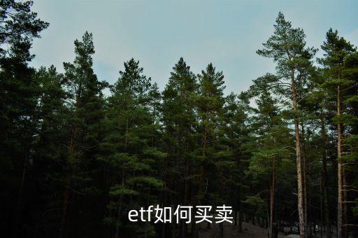 etf基金走勢圖510260,etF基金