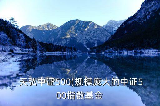  天弘中證500(規(guī)模龐大的中證500指數(shù)基金