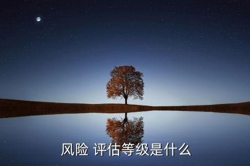  風(fēng)險 評估等級是什么