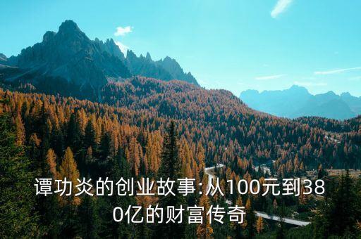 譚功炎的創(chuàng)業(yè)故事:從100元到380億的財(cái)富傳奇