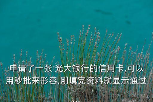 申請(qǐng)了一張 光大銀行的信用卡,可以用秒批來(lái)形容,剛填完資料就顯示通過(guò)...