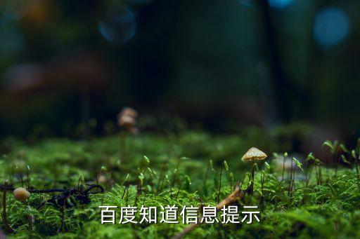 中國財(cái)富高度集中,全球的財(cái)富高度集中在什么企業(yè)