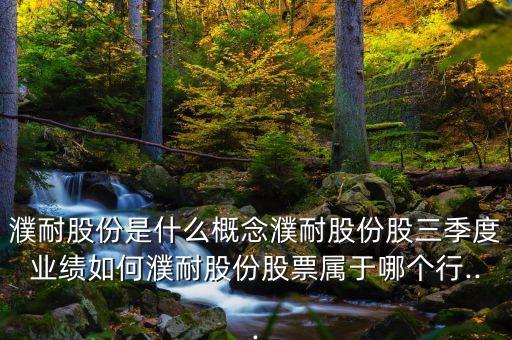 濮耐股份是什么概念濮耐股份股三季度業(yè)績(jī)?nèi)绾五凸煞莨善睂儆谀膫€(gè)行...