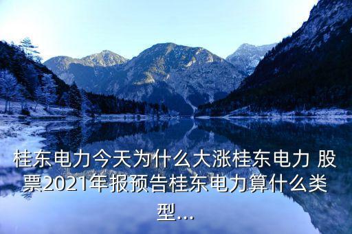 桂東電力今天為什么大漲桂東電力 股票2021年報預(yù)告桂東電力算什么類型...