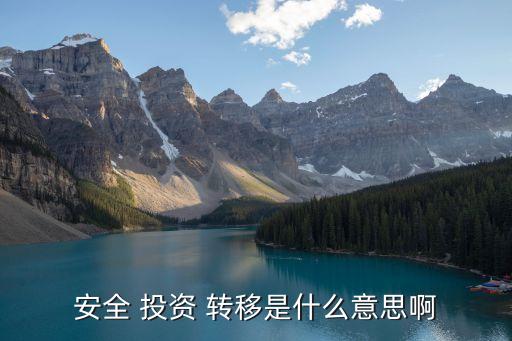 安全 投資 轉(zhuǎn)移是什么意思啊