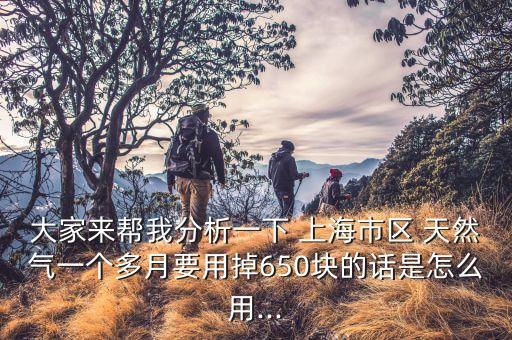 大家來(lái)幫我分析一下 上海市區(qū) 天然氣一個(gè)多月要用掉650塊的話是怎么用...