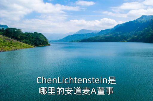 ChenLichtenstein是哪里的安道麥A董事