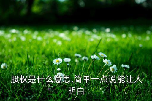  股權(quán)是什么意思,簡(jiǎn)單一點(diǎn)說能讓人明白