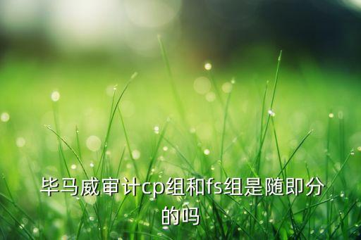  畢馬威審計(jì)cp組和fs組是隨即分的嗎