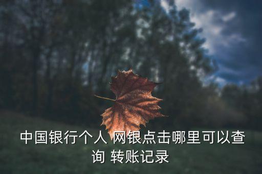  中國銀行個人 網(wǎng)銀點擊哪里可以查詢 轉賬記錄