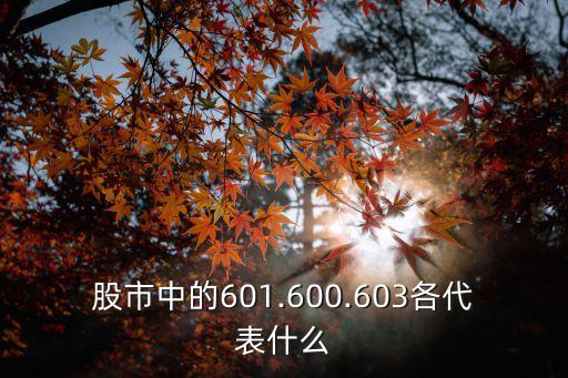 股市中的601.600.603各代表什么