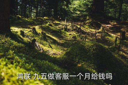  鴻聯(lián) 九五做客服一個(gè)月給錢嗎