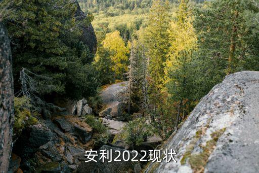  安利2022現(xiàn)狀