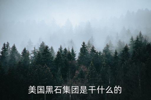 國家外匯投資公司,國家開發(fā)投資公司