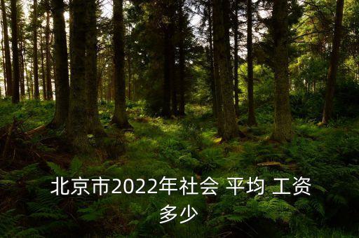  北京市2022年社會(huì) 平均 工資多少