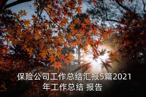 保險公司財務(wù)季度分析報告,XX公司XX年度\/季度財務(wù)分析報告