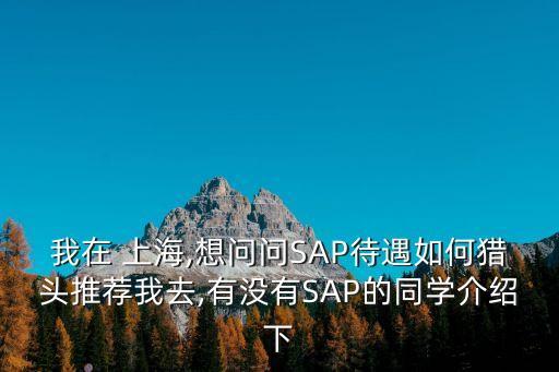 我在 上海,想問問SAP待遇如何獵頭推薦我去,有沒有SAP的同學介紹下