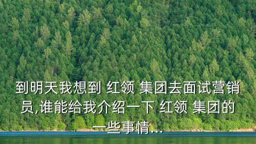 到明天我想到 紅領(lǐng) 集團(tuán)去面試營銷員,誰能給我介紹一下 紅領(lǐng) 集團(tuán)的一些事情...