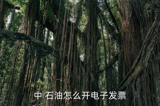 甘肅省中國石油加油個(gè)人卡開發(fā)票