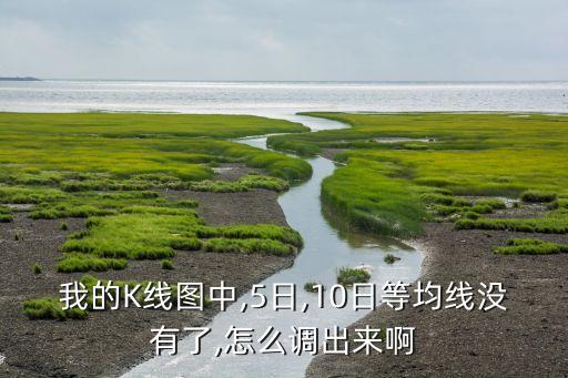 我的K線圖中,5日,10日等均線沒有了,怎么調(diào)出來啊